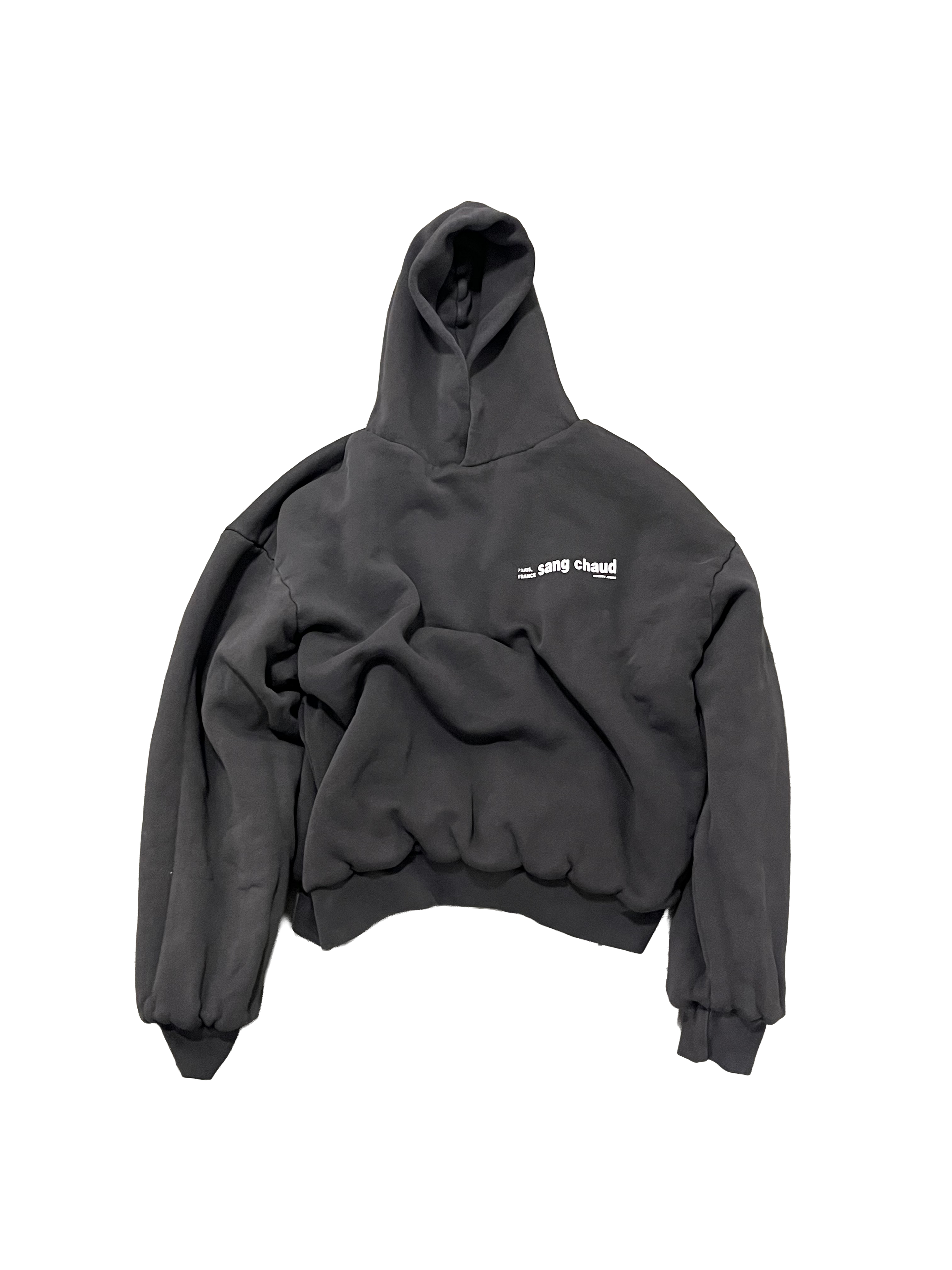 1 OF 1 SANG CHAUD ART GALLERY 1000 GSM BIDEN SECURITY DOUBLE HOODIE