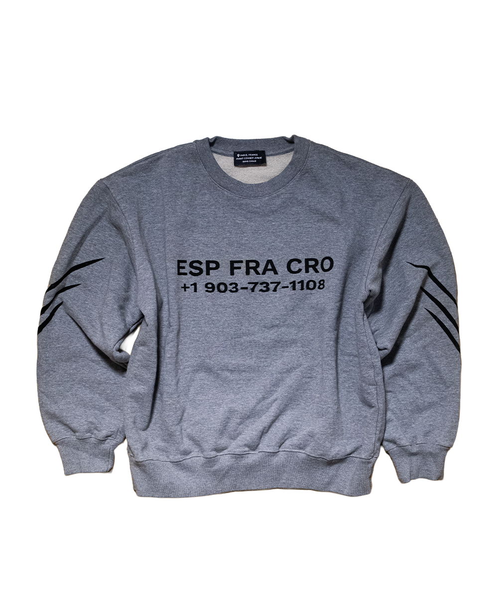 1 of 1 ESP FRA CRO Sweater Grey